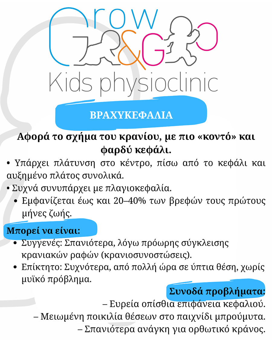 ΒΡΑΧΥΚΕΦΑΛΙΑ