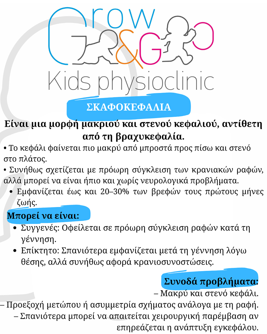 ΣΚΑΦΟΚΕΦΑΛΙΑ